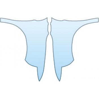 PRECUT PPF CLEAR BRA WRAP