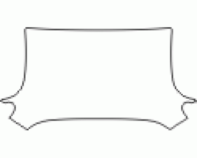 BACKDRAFT HOOD KIT - PRECUT PPF CLEAR BRA WRAP