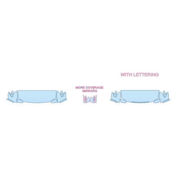PAINT PROTECTION KIT - 2024 FORD EXPEDITION XLT HOOD FENDERS MIRRORS 24 INCH - - PRECUT PPF CLEAR BRA WRAP
