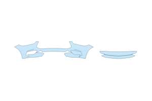 2027 FORD MUSTANG ECOBOOST CONVERTIBLE BUMPER (MULTI PIECE)