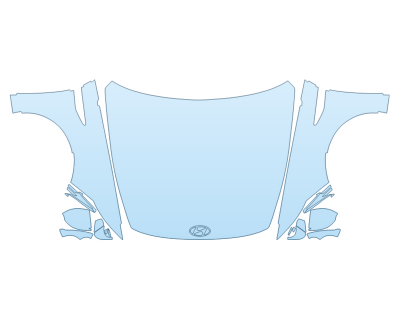 PAINT PROTECTION KIT - 2025 HYUNDAI SONATA N-LINE FULL HOOD FENDERS MIRRORS - PRECUT PPF CLEAR BRA WRAP