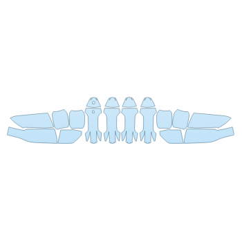 Precut PPF Kit – Clear Bra Paint Protection Film PAINT PROTECTION KIT - 2023 CHEVROLET COLORADO ZR2 MIRRORS DOOR CUPS - PRECUT PPF CLEAR BRA WRAP