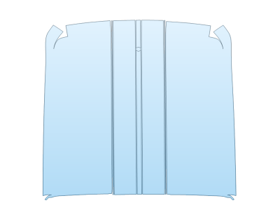 PAINT PROTECTION KIT - 2023 FORD F-150 SHELBY SUPER SNAKE SPORT FULL ROOF W/STRIPES - PRECUT PPF CLEAR BRA WRAP