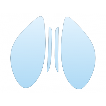 PAINT PROTECTION KIT - 2023 PORSCHE 718 BOXSTER CAYMAN HEADLIGHTS AND FOGLIGHTS - PRECUT PPF CLEAR BRA WRAP