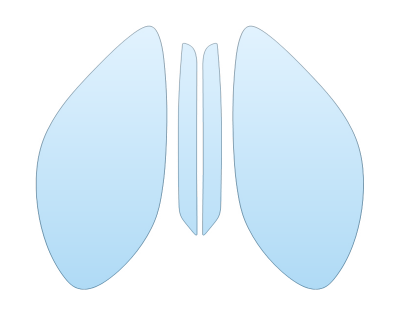 Precut PPF Kit – Clear Bra Paint Protection Film PAINT PROTECTION KIT - 2023 PORSCHE MACAN T HEADLIGHTS FOGLIGHTS - PRECUT PPF CLEAR BRA WRAP