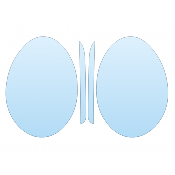 PAINT PROTECTION KIT - 2024 PORSCHE 911 SPEEDSTER HEADLIGHTS FOGLIGHTS - PRECUT PPF CLEAR BRA WRAP