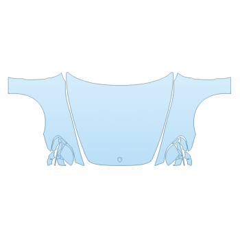 PAINT PROTECTION KIT - 2025 PORSCHE PANAMERA TURBO S E-HYBRID FULL HOOD FENDERS MIRRORS WRAPPED EDGES - PRECUT PPF CLEAR BRA WRAP