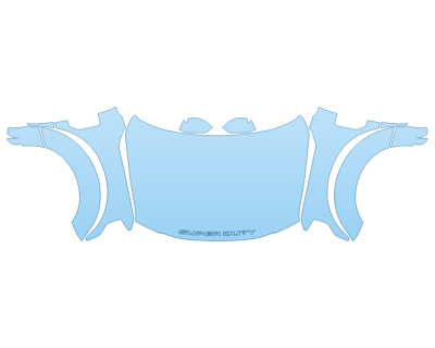 2021 FORD F-450 SUPER DUTY LIMITED HOOD FENDERS MIRRORS FULL (WRAPPED EDGES)