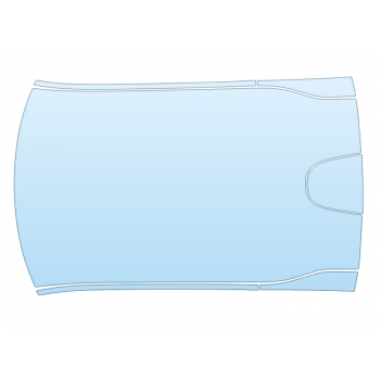 2024 DODGE CHARGER R/T FULL ROOF