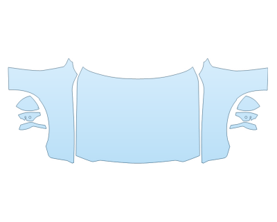 2024 DODGE CHARGER SCAT PACK HOOD FENDERS MIRRORS FULL NO BADGES