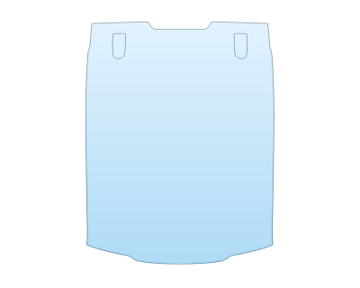 2024 FORD F-150 RAPTOR FULL ROOF