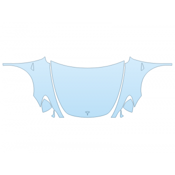 2025 TESLA MODEL Y BASE HOOD FENDERS MIRRORS FULL