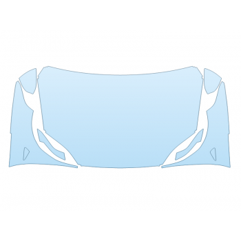 2025 TESLA MODEL X PLAID HOOD FENDERS MIRRORS FULL (WRAPPED EDGES)