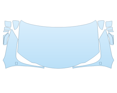 2025 LEXUS UX 300H F SPORT HOOD FENDERS MIRRORS FULL (WRAPPED EDGES)