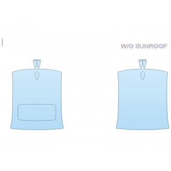 2025 CADILLAC CT4-V BLACKWING FULL ROOF PPF kit 2025 CADILLAC CT4-V BLACKWING FULL ROOF paint protection film kit