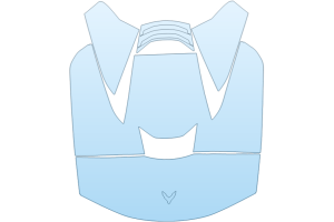 2026 CHEVROLET CORVETTE ZR1 CONVERTIBLE ENGINE COVER