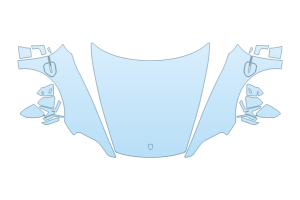2027 PORSCHE TAYCAN CROSS TURISMO TURBO S HOOD FENDERS MIRRORS FULL (WRAPPED EDGES)