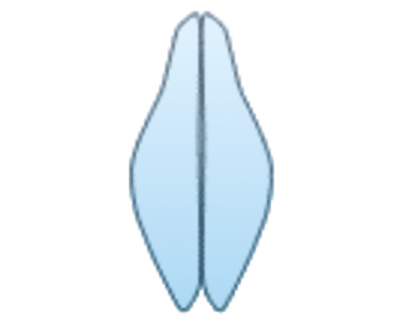 Precut PPF Kit – Clear Bra Paint Protection Film PAINT PROTECTION KIT - 2024 ALFA ROMEO GIULIA BASE HEADLAMP KIT - PRECUT PPF CLEAR BRA WRAP