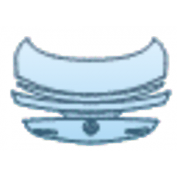 PAINT PROTECTION KIT - 2025 MERCEDES-BENZ CLE COUPE AMG CLE 53 TRUNK LID KIT WITH AMG AND CLE 53 BADGES BADGE AND SPOILER PLACEMENT VARIES - PRECUT PPF CLEAR BRA WRAP