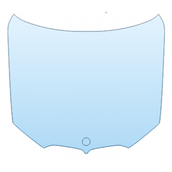 PAINT PROTECTION KIT 