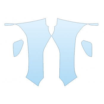 PAINT PROTECTION KIT 